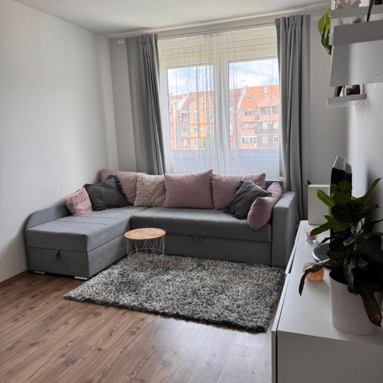 Apartman Jovana - Apartment mit 1 Schlafzimmer - 4