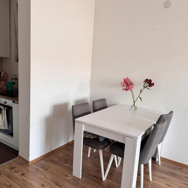 Apartman Jovana - Apartment mit 1 Schlafzimmer - 6