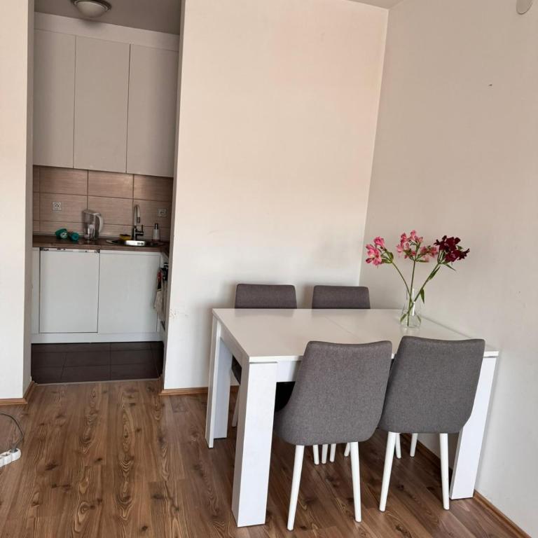 Apartman Jovana - Apartment mit 1 Schlafzimmer - 9