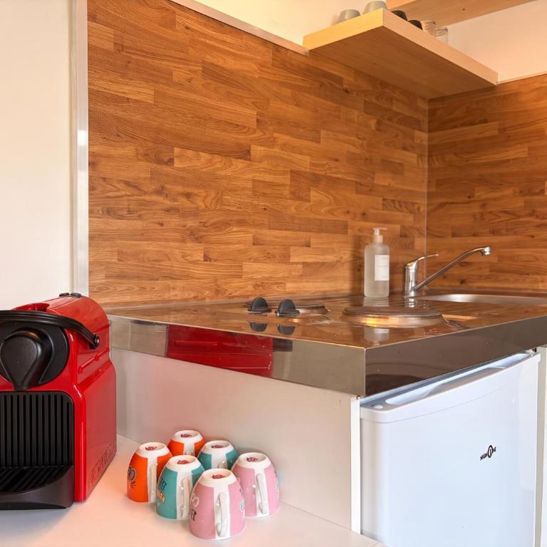 Le Nid Angevin - Lumière sous les toits - Ney - Appartement 1 Chambre - 11