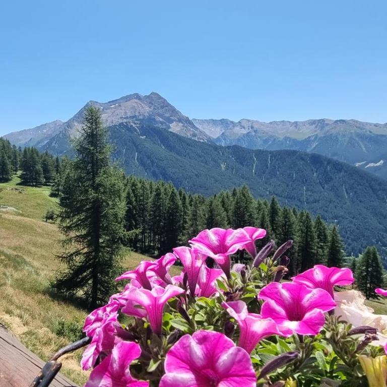 Fronte Piste Comodo Monolocale - Appartamento con 1 Camera da Letto - 27