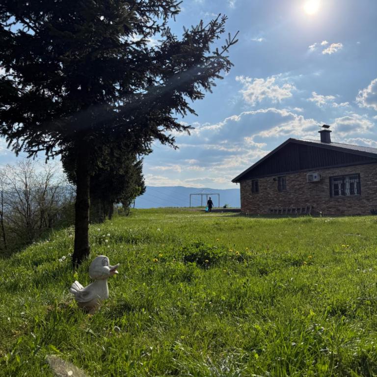 Villa Noir Sarajevo - Vila - 6