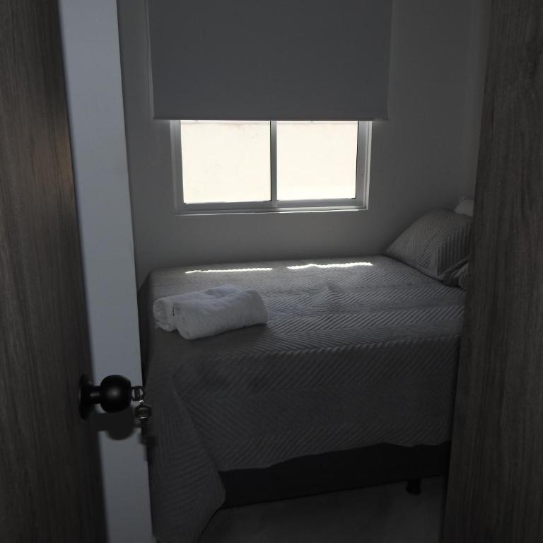 Lumina House Moderno y tranquilo apartamento Cerca de las clínicas y del estadio - Two-Bedroom Apartment - 26
