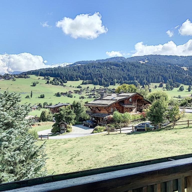 Duplex avec vue Mont-Blanc - 4 pers. - Appartement 1 Chambre - 17
