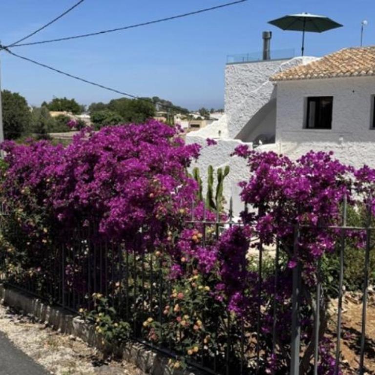 Villa en Denia con Wi-Fi, aire acondicionado, piscina privada y parking - ES-373-54 - Villa - 2
