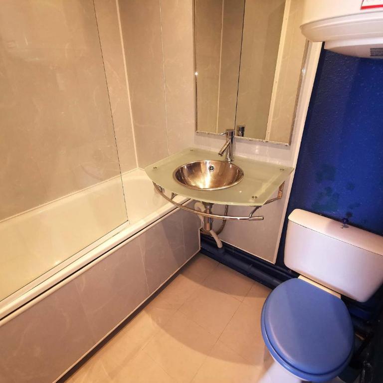 Appartement aux Adrets-Prapoutel, 2 pièces, balcon, proche pistes et commerces - Apartment mit 1 Schlafzimmer - 11