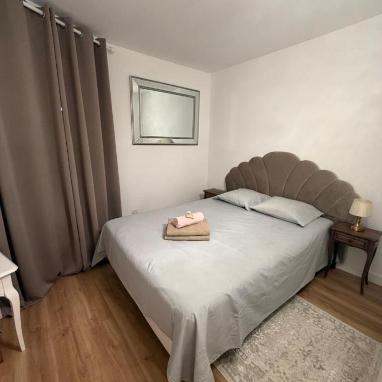 Sunny elegant Apartment in Villa Francia Cannes - Appartement 1 Chambre - 2