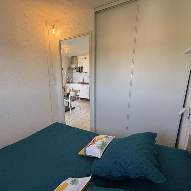 Appartement calme terrasse - 4 pers. - FR-1-250-341 - Apartment - 13
