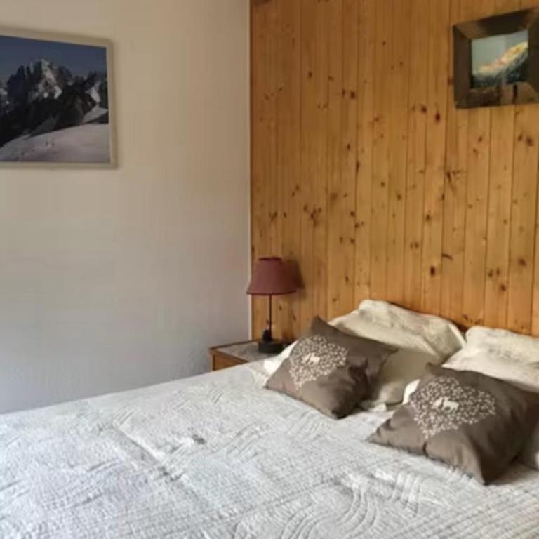 Les Balcons de lAiguille App 2 chambres - Appartement - 5