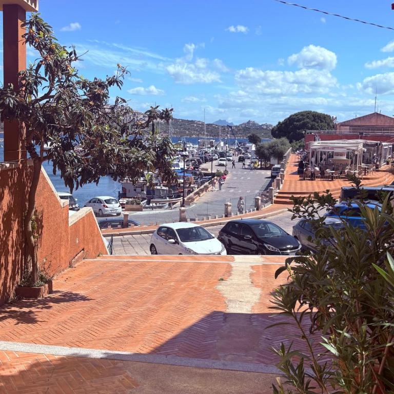 Libeccio Apartment in Cala Gavetta! - Appartamento con 1 Camera da Letto - 5
