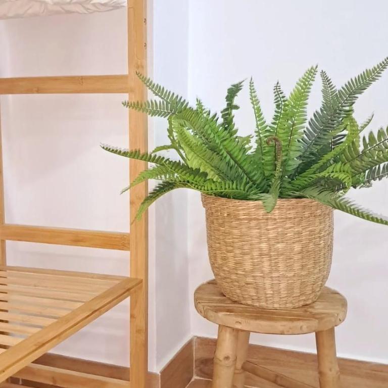 Alohamundi Ronda de Tejares - Apartment mit 1 Schlafzimmer - 25