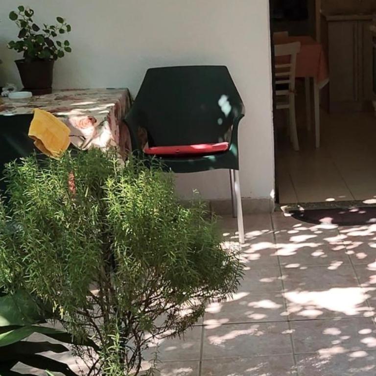 Apartments Miljanic - Apartman sa 2 Spavaće Sobe - 3