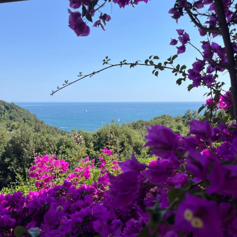 IL MARE BLU - Two-Bedroom Apartment with Jacuzzi and Sauna - 58