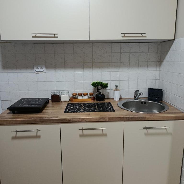 Apartman Sanja-Niš - Apartment mit 1 Schlafzimmer - 3