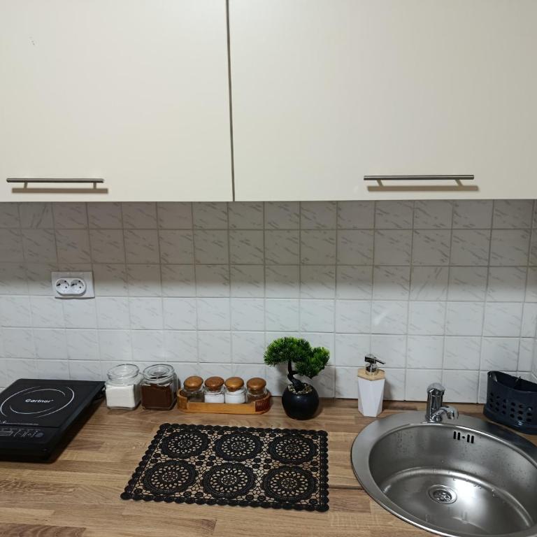 Apartman Sanja-Niš - Apartment mit 1 Schlafzimmer - 16