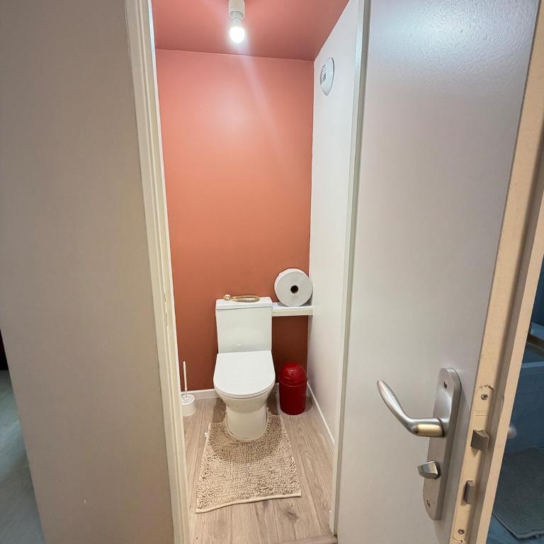Maison climatisée tout confort au pied de Clermont - Maison 3 Chambres - 19