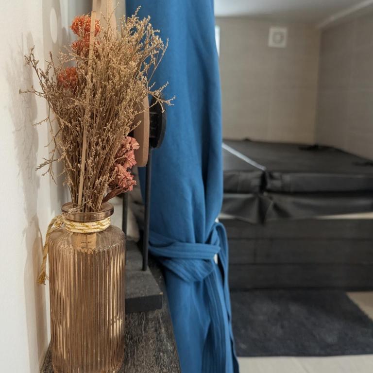 Maison hyper centre Jacuzzi - Haus mit 2 Schlafzimmern - 32