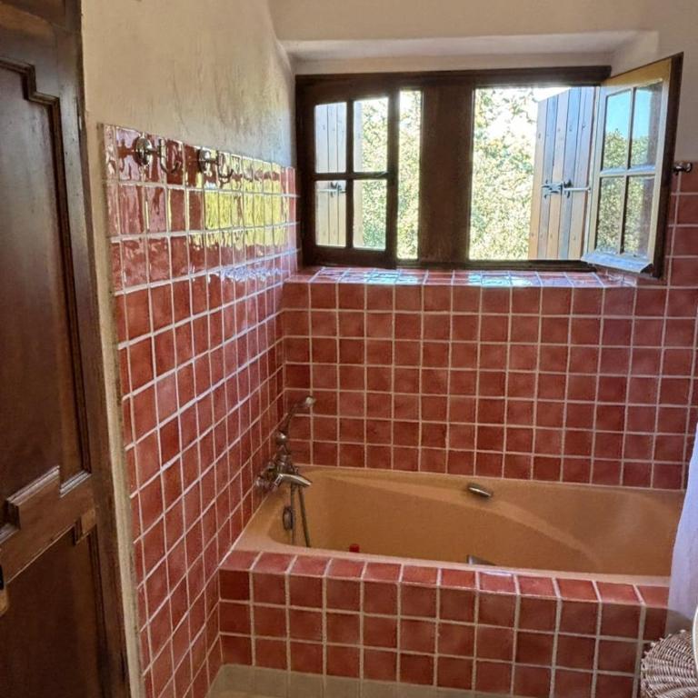Mas in Gordes with swimming pool - Ferienhaus - 38