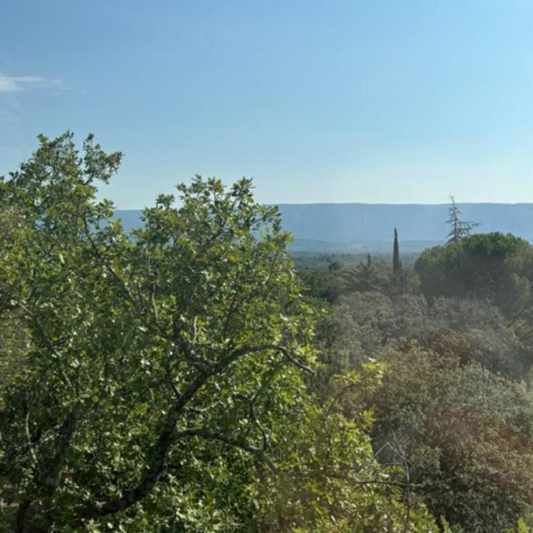 Mas in Gordes with swimming pool - Ferienhaus - 39