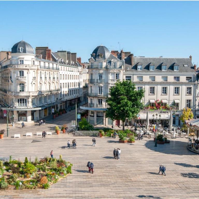 Le Martroi - Hypercentre avec vue - 55m 1 chambre - Appartement 1 Chambre - 18