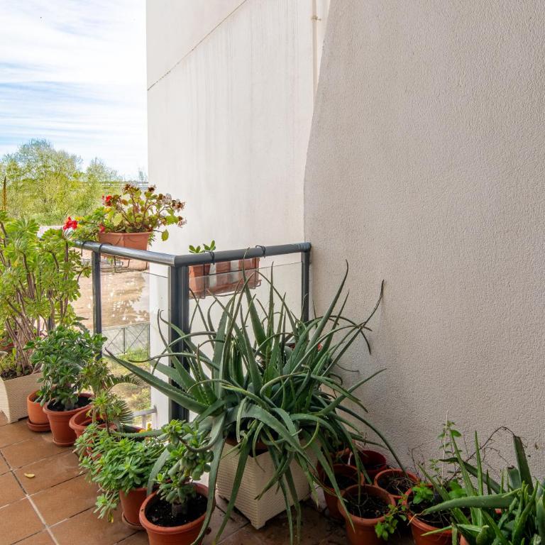 Geysotur Duplex Balcon del Rio - Apartamento de 3 dormitorios - 54
