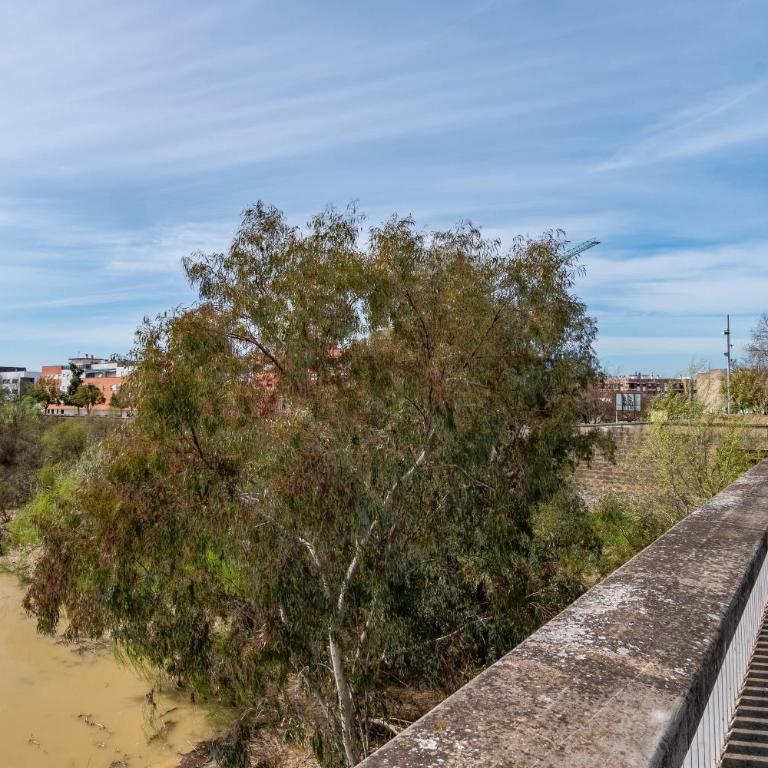 Geysotur Duplex Balcon del Rio - Apartamento de 3 dormitorios - 57