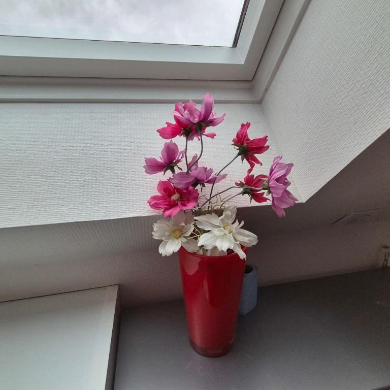 Apartment with garden in Colmar - Apartment - 12