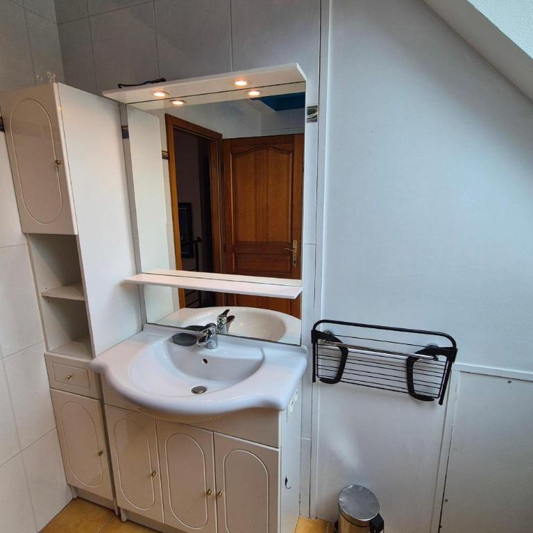 Apartment with garden in Colmar - Apartment - 24