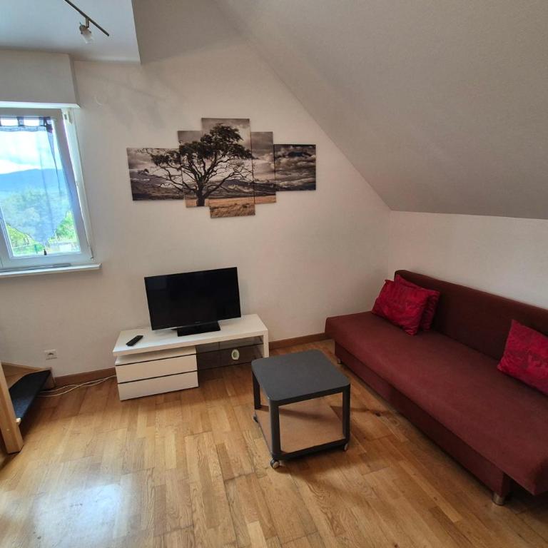 Apartment with garden in Colmar - Apartment - 3