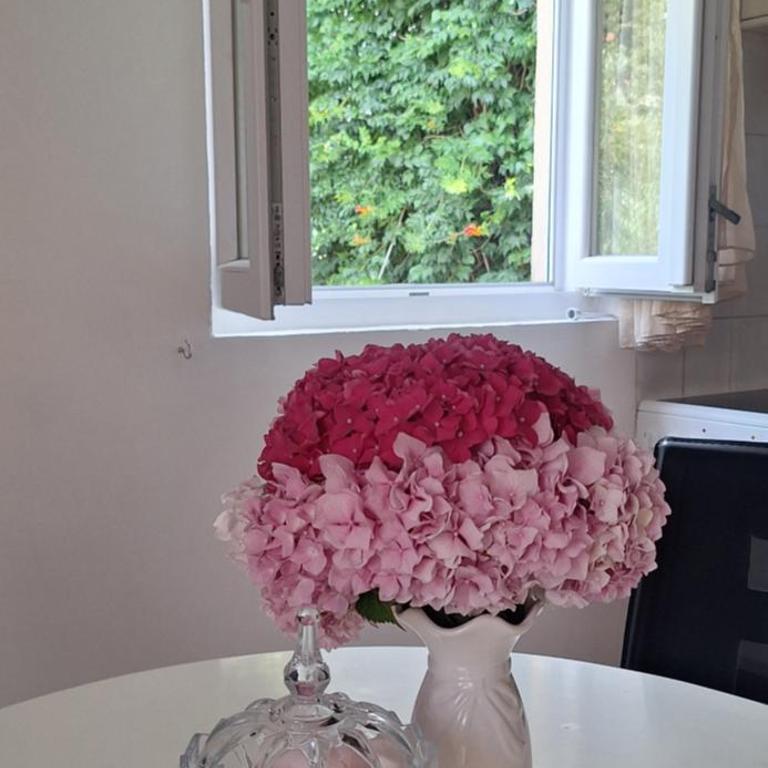 Apartman Budva - Apartman sa 1 Spavaćom Sobom - 5