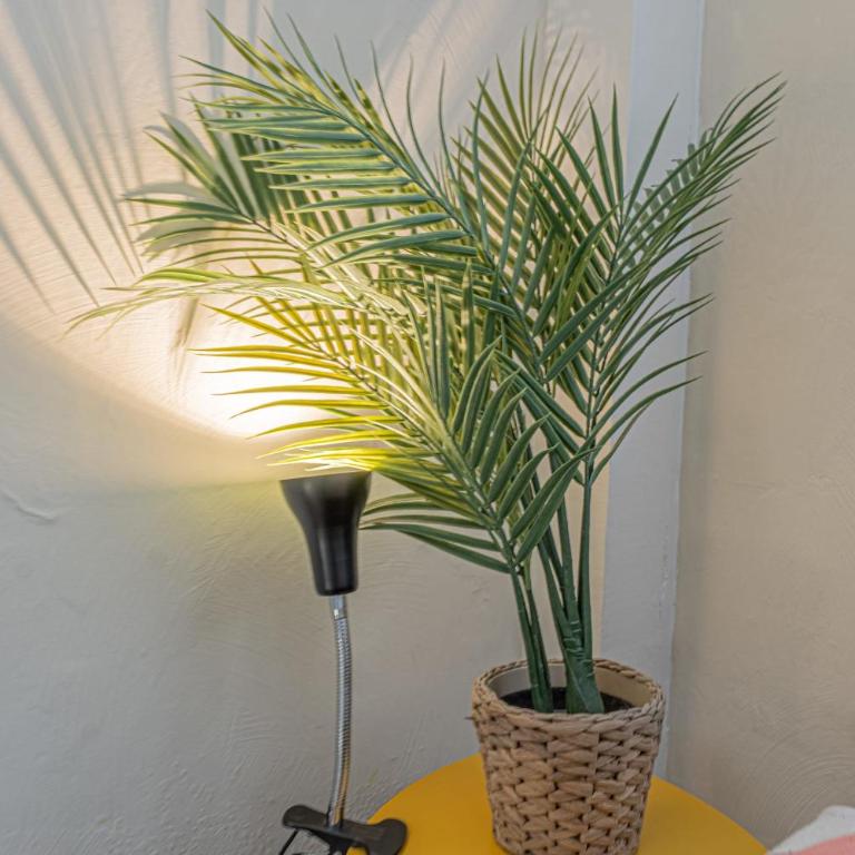 Loft lumineux climatisé Port & Vieux-Nice à pied - Apartment - 16