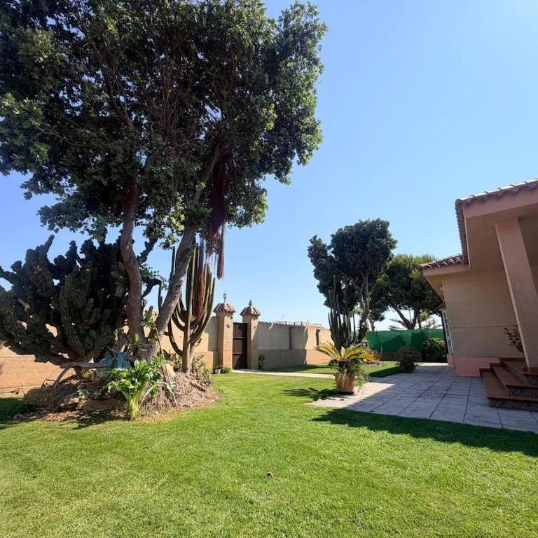 Finca La Talona, piscina - Casa de 3 dormitorios - 21