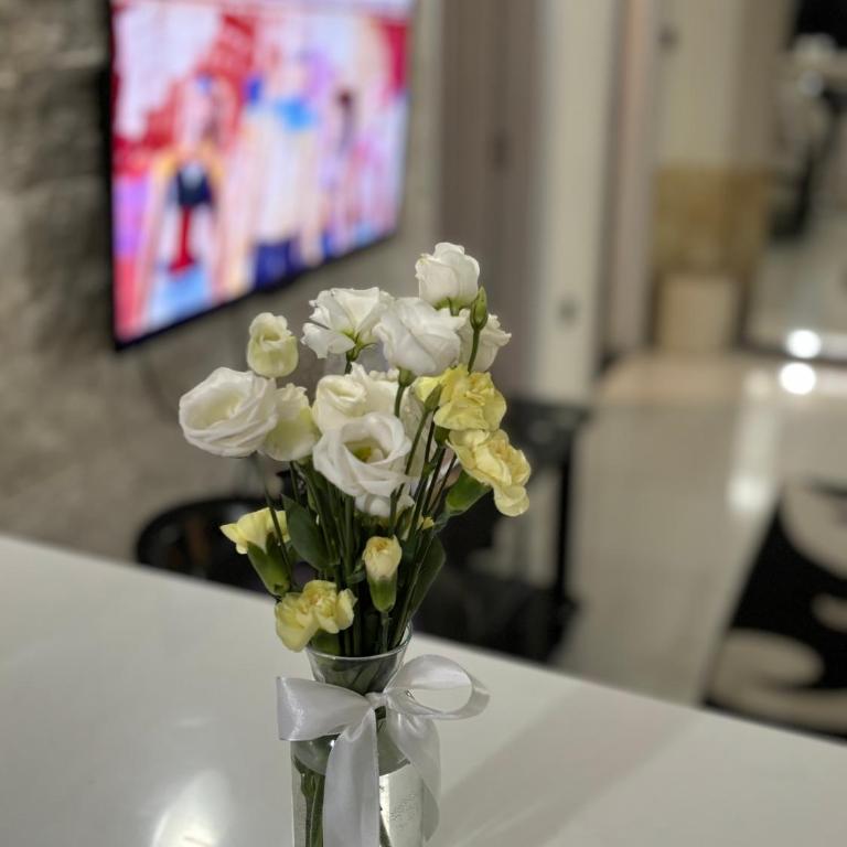 Apartments Bronze Podgorica - Deluks Apartman s 1 Spavaćom Sobom - 1