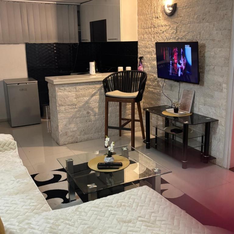 Apartments Bronze Podgorica - Deluks Apartman s 1 Spavaćom Sobom - 6