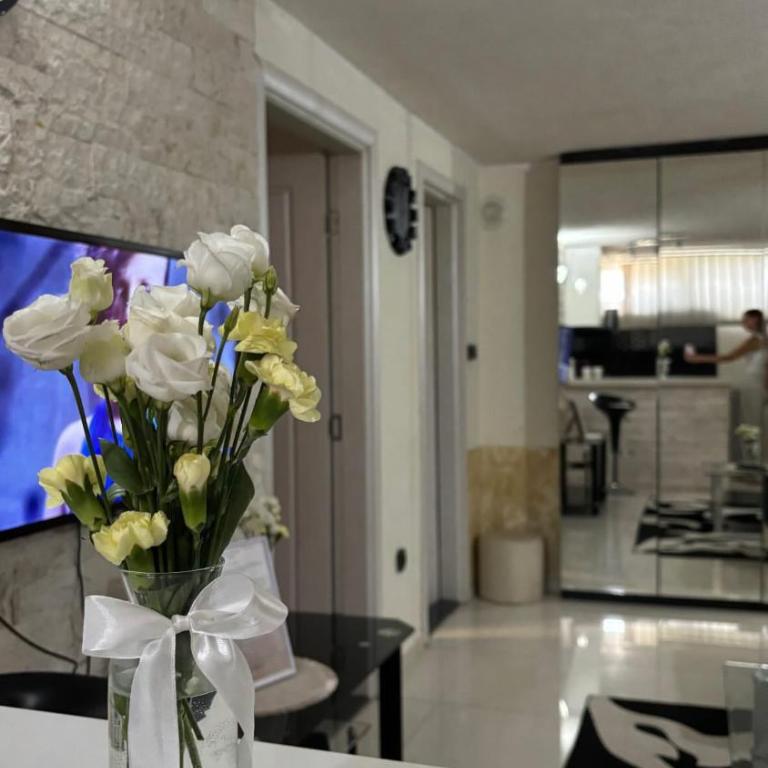 Apartments Bronze Podgorica - Deluks Apartman s 1 Spavaćom Sobom - 10