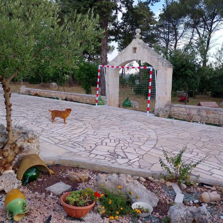 Trullo il Focolare in Masseria - Appartamento Deluxe con 2 Camere da Letto e Vista Giardino - 33