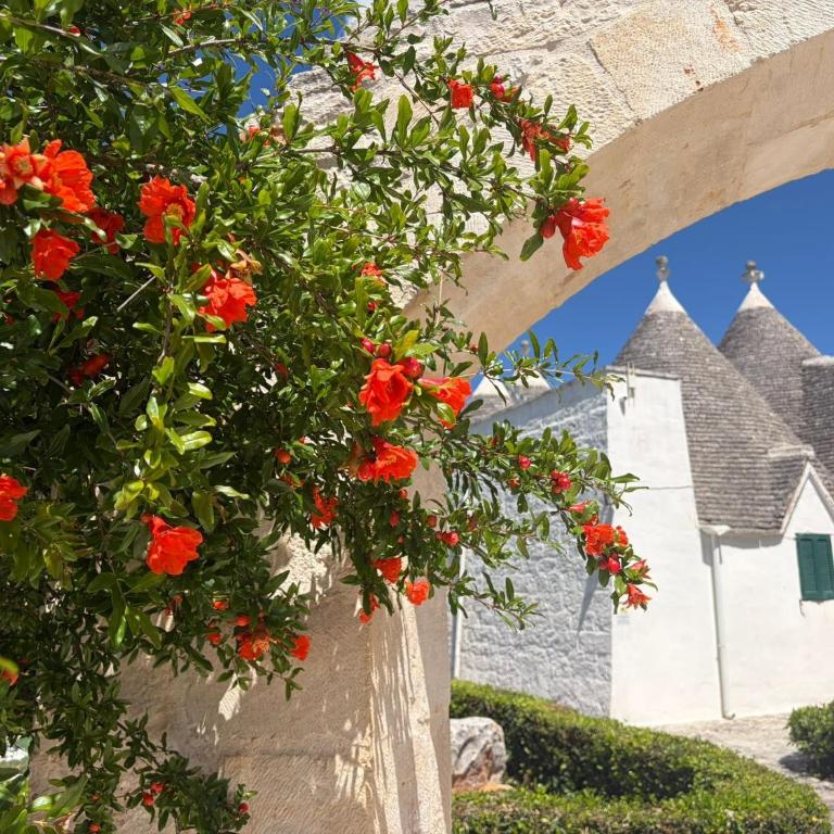 Trullo degli Anelli in Masseria - Appartamento con 1 Camera da Letto e Vista Giardino - 31