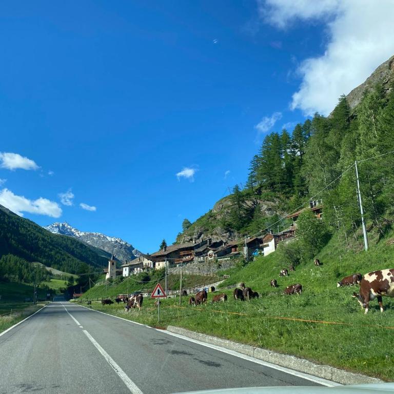 Casetta in Val di Rhemes - Casa con 2 Camere da Letto - 4
