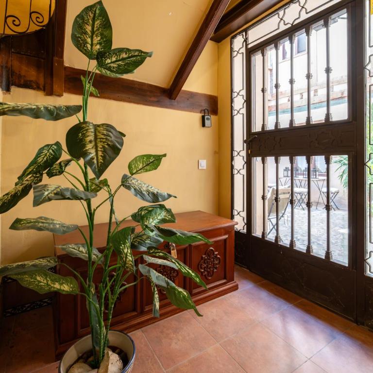 Patio in the Heart of Toledo , Pets , Family - Apartamento de 2 dormitorios con terraza - 33