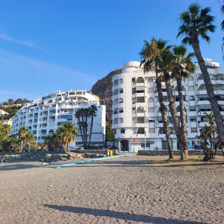 Al-Ándalus Suite Tropical - Apartamento de 1 dormitorio - 3