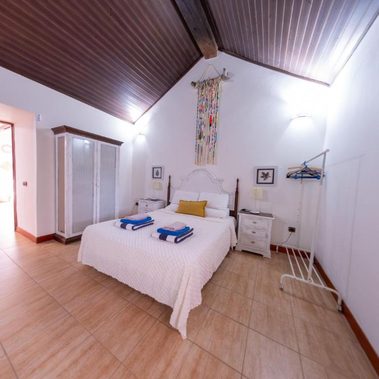 Finca Los Tanquillos Rural House with pool in Ayagaures Gran Canaria - Villa con piscina privada - 81
