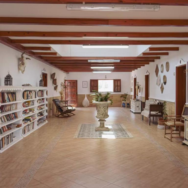 Finca Los Tanquillos Rural House with pool in Ayagaures Gran Canaria - Villa con piscina privada - 95