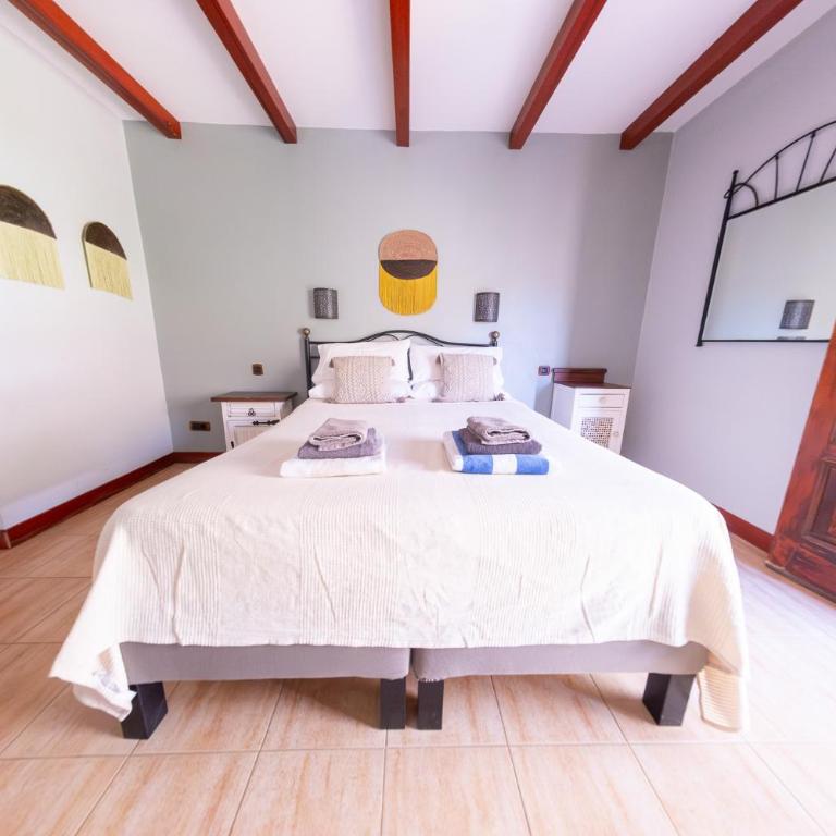 Finca Los Tanquillos Rural House with pool in Ayagaures Gran Canaria - Villa con piscina privada - 69