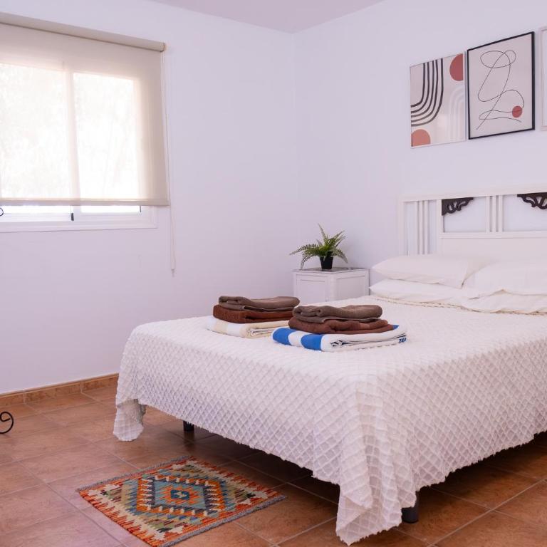 Finca Los Tanquillos Rural House with pool in Ayagaures Gran Canaria - Villa con piscina privada - 57