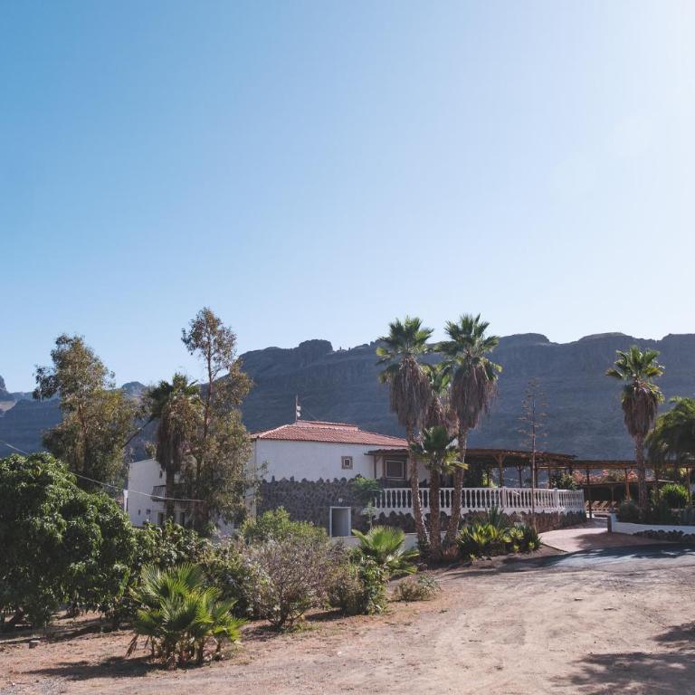 Finca Los Tanquillos Rural House with pool in Ayagaures Gran Canaria - Villa con piscina privada - 90