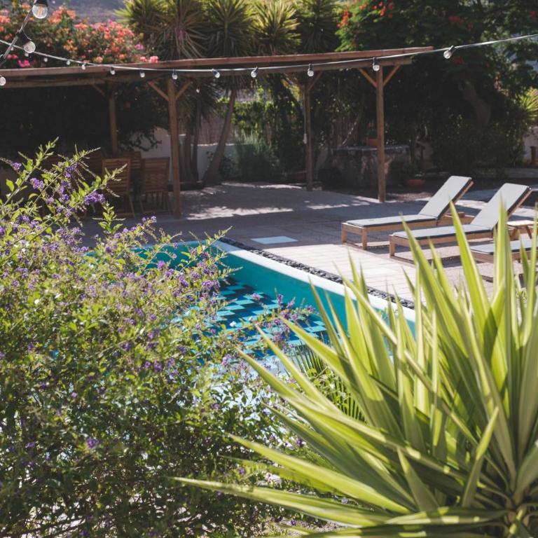 Finca Los Tanquillos Rural House with pool in Ayagaures Gran Canaria - Villa con piscina privada - 5