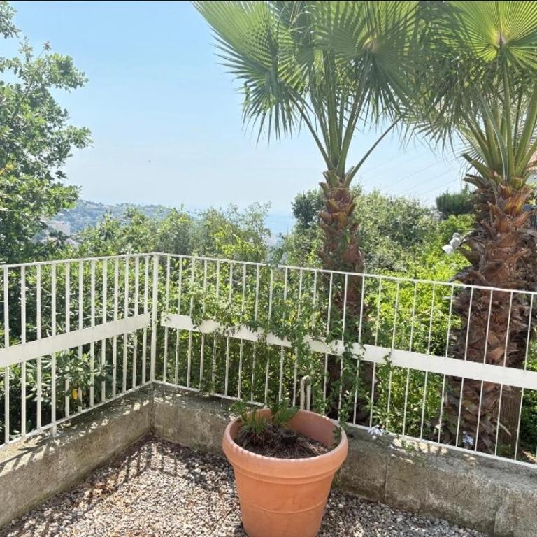 Studio avec piscine et grande terrasse Parking gratuit Nice - Maison 1 Chambre - 10