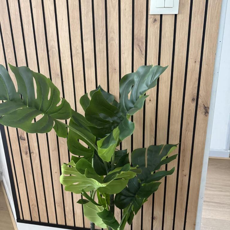 Apartment with Sea View in Benalbeach - Apartment mit Meerblick - 6