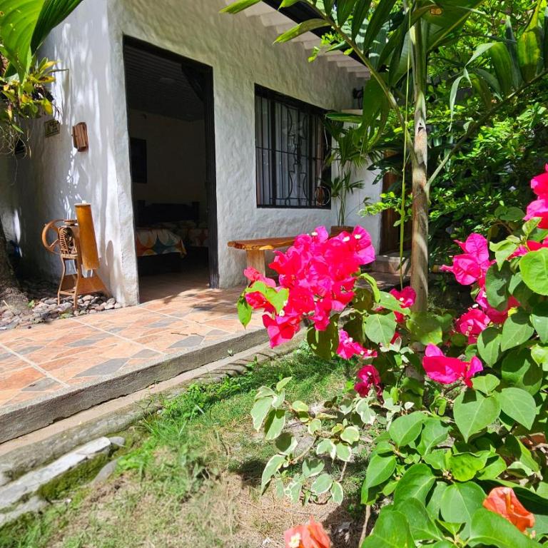 B&B Villa CALASAN - Habitación Cuádruple - vistas al jardín - 3