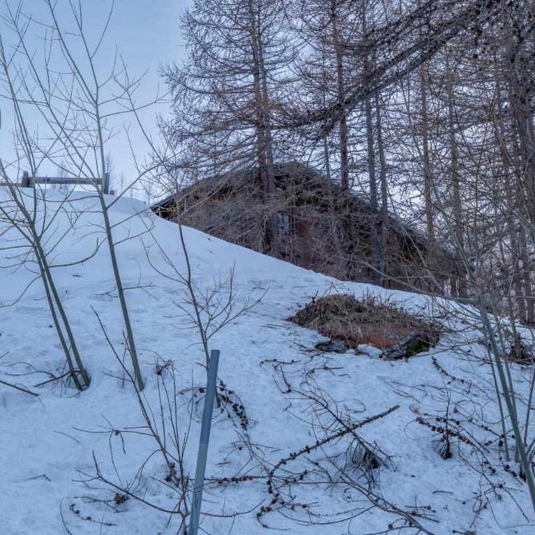 The Aimone - Historic Alpine Retreat - Appartamento con 1 Camera da Letto - 45
